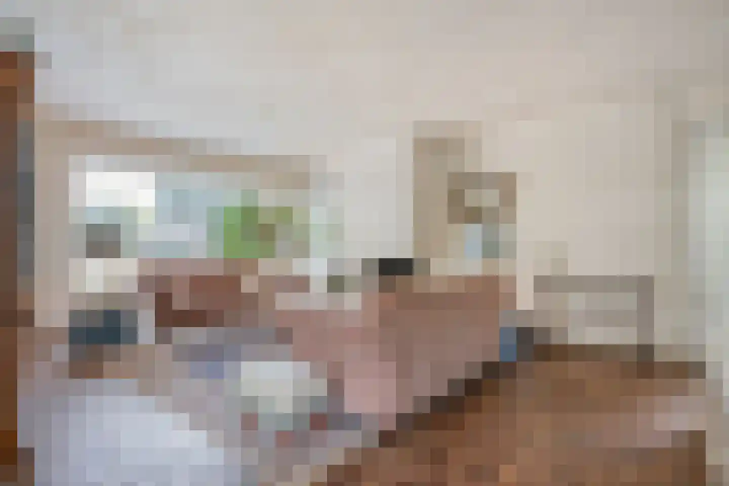 Weddehoenlaan 1 Goor thumbnail 28