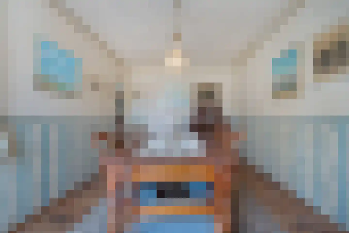 Weddehoenlaan 1 Goor thumbnail 30