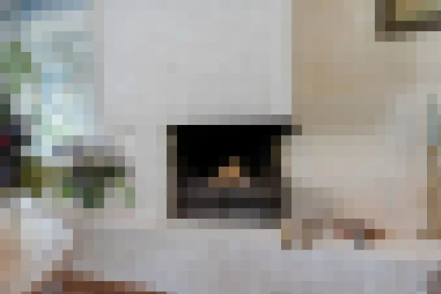 Weddehoenlaan 1 Goor thumbnail 36