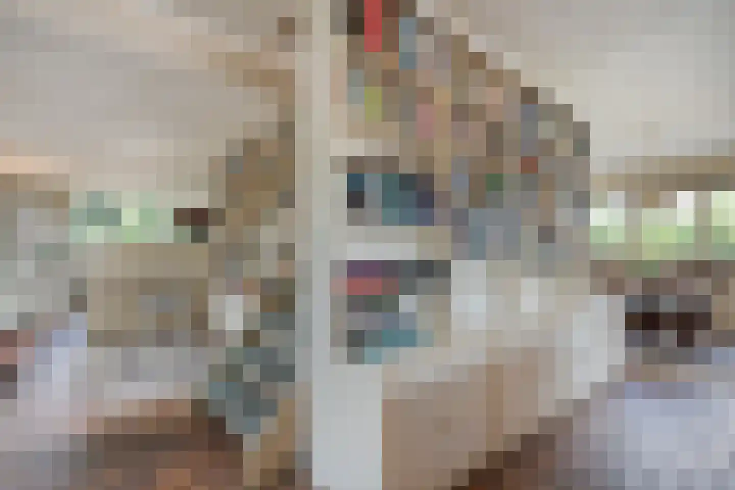 Weddehoenlaan 1 Goor thumbnail 37
