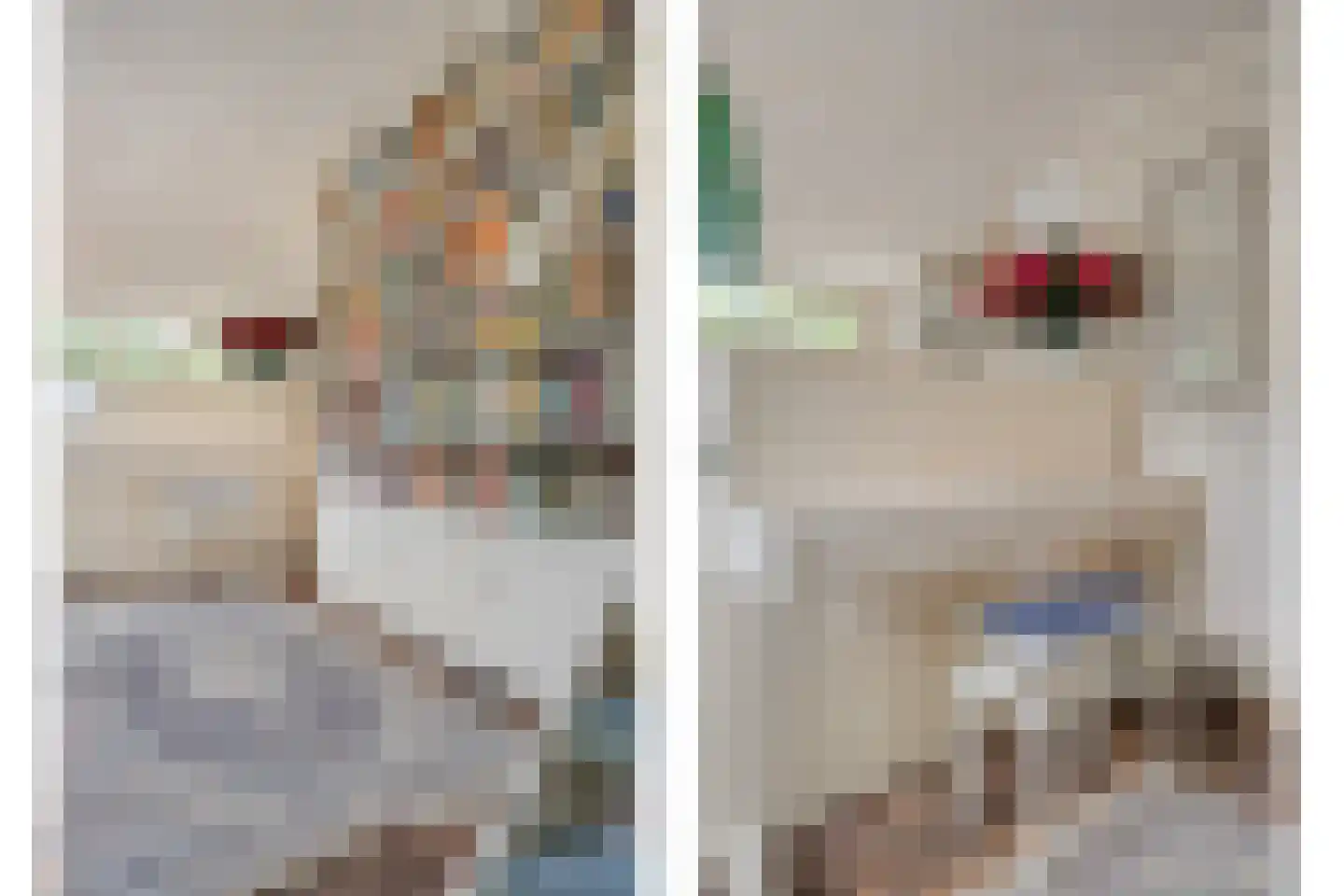 Weddehoenlaan 1 Goor thumbnail 40