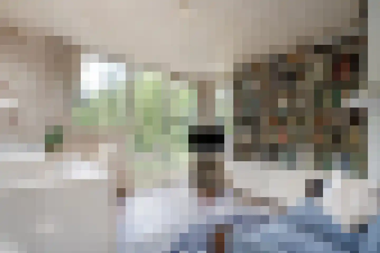 Weddehoenlaan 1 Goor thumbnail 41