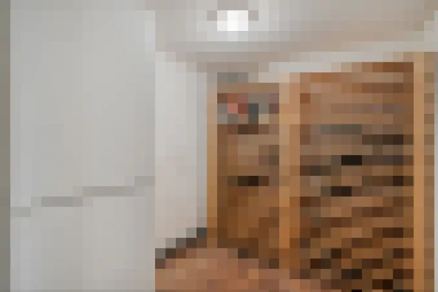 Weddehoenlaan 1 Goor thumbnail 47