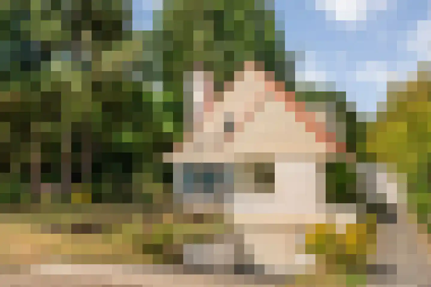 Weddehoenlaan 1 Goor thumbnail 5