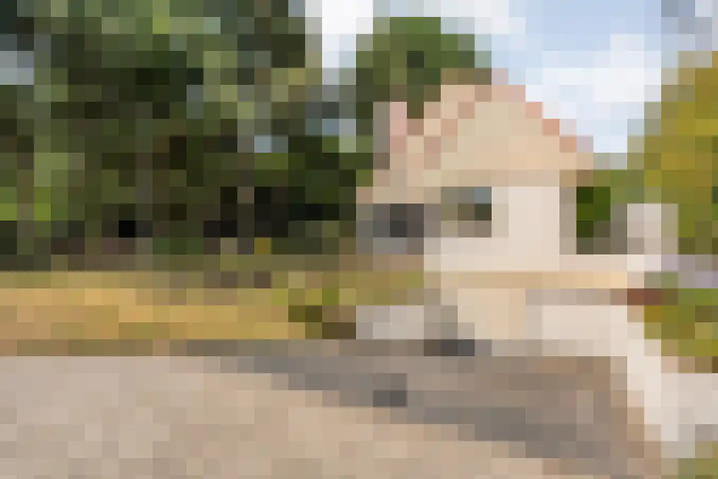 Weddehoenlaan 1 Goor thumbnail 6