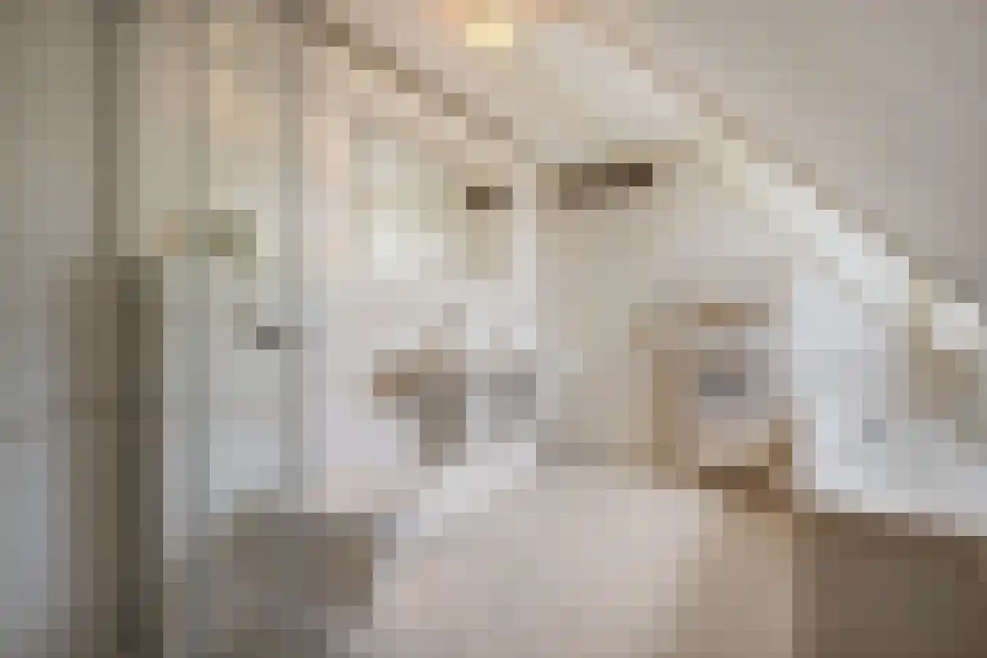 Weddehoenlaan 1 Goor thumbnail 64