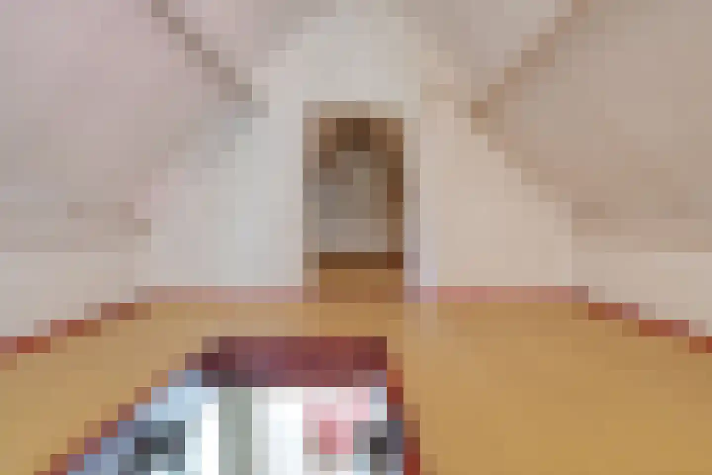 Weddehoenlaan 1 Goor thumbnail 68