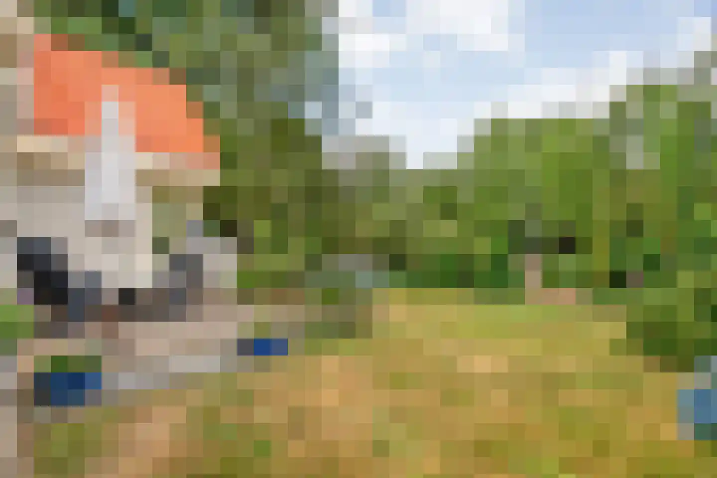 Weddehoenlaan 1 Goor thumbnail 73