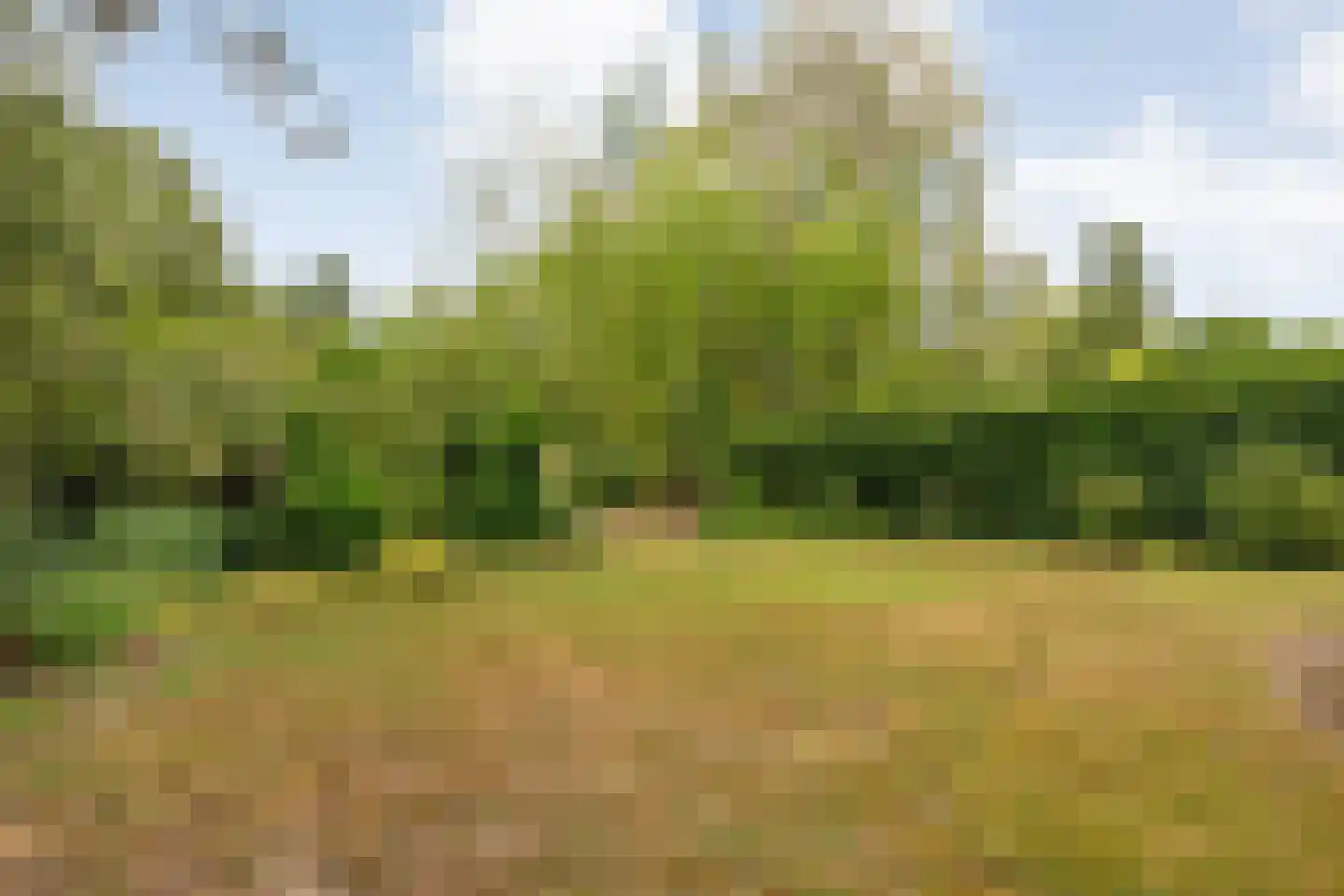 Weddehoenlaan 1 Goor thumbnail 75