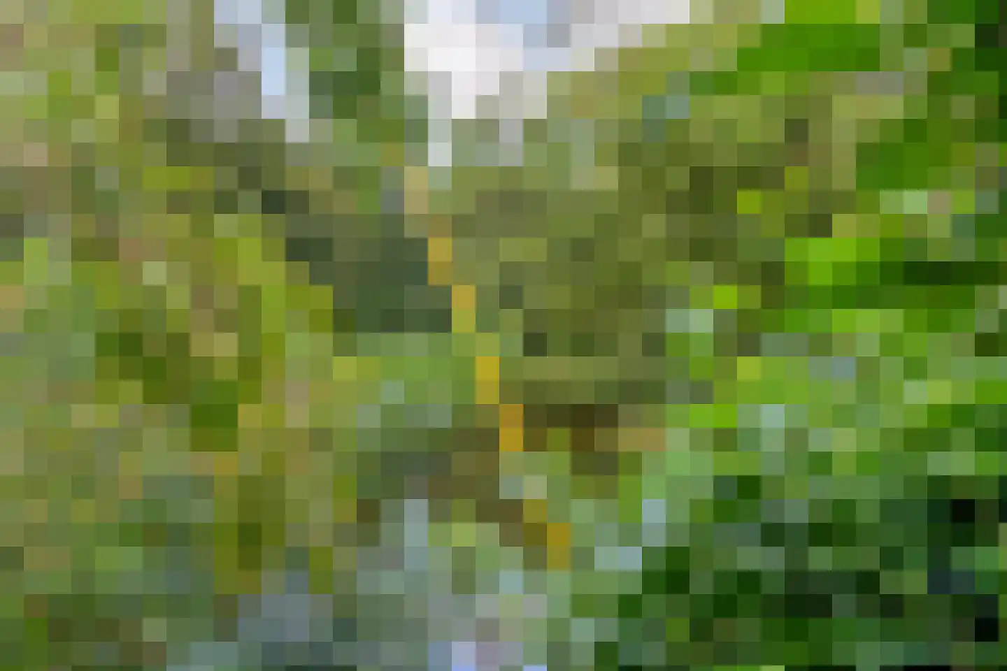Weddehoenlaan 1 Goor thumbnail 77