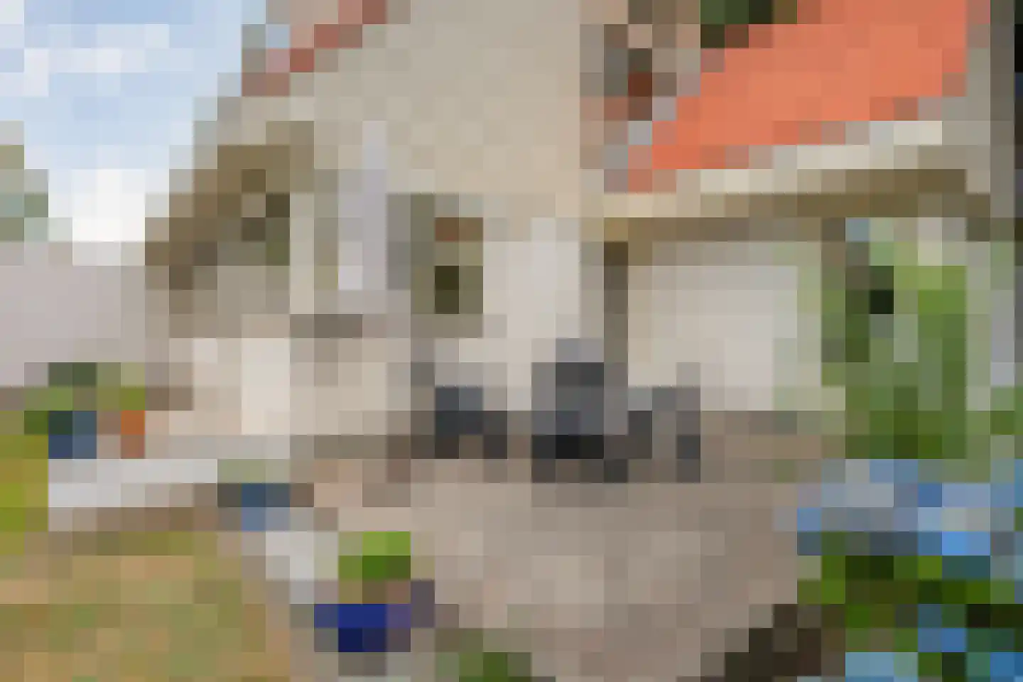 Weddehoenlaan 1 Goor thumbnail 78