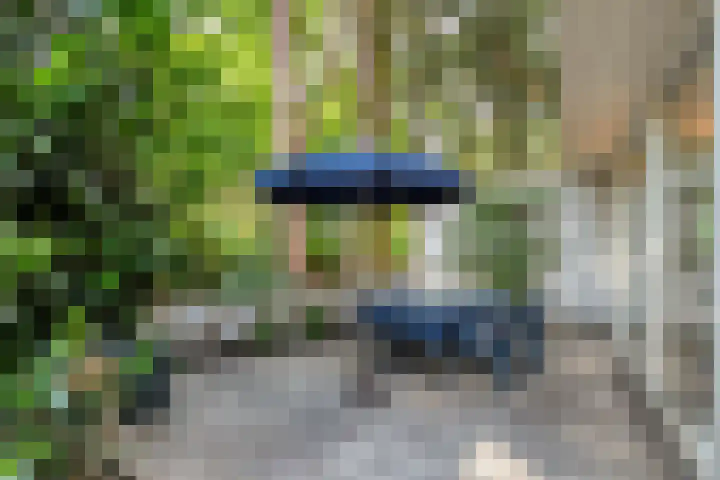 Weddehoenlaan 1 Goor thumbnail 84