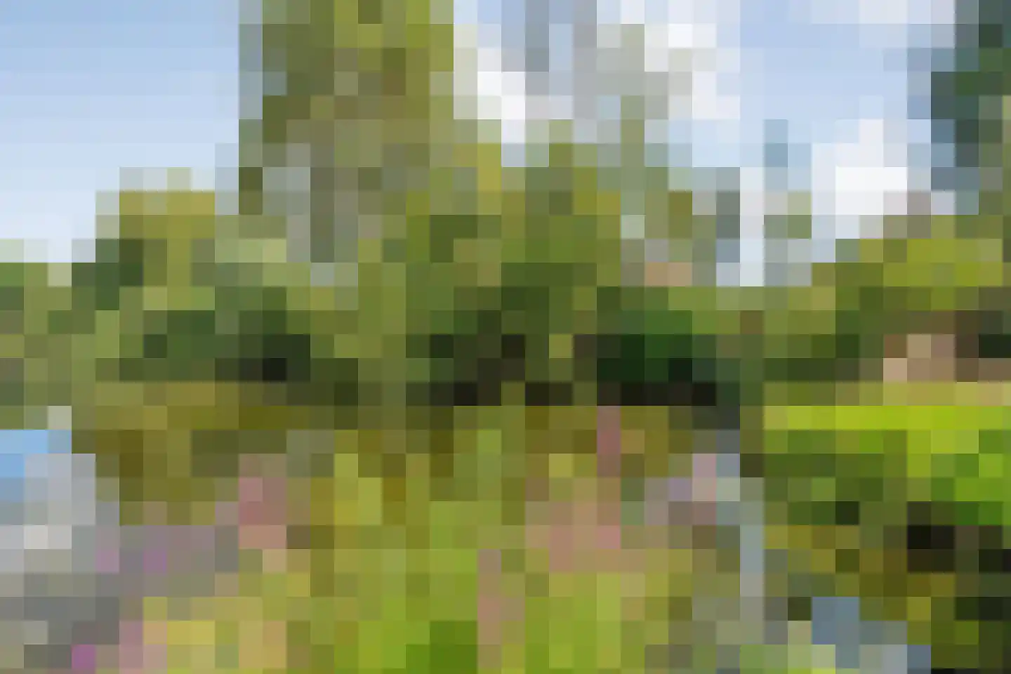 Weddehoenlaan 1 Goor thumbnail 87
