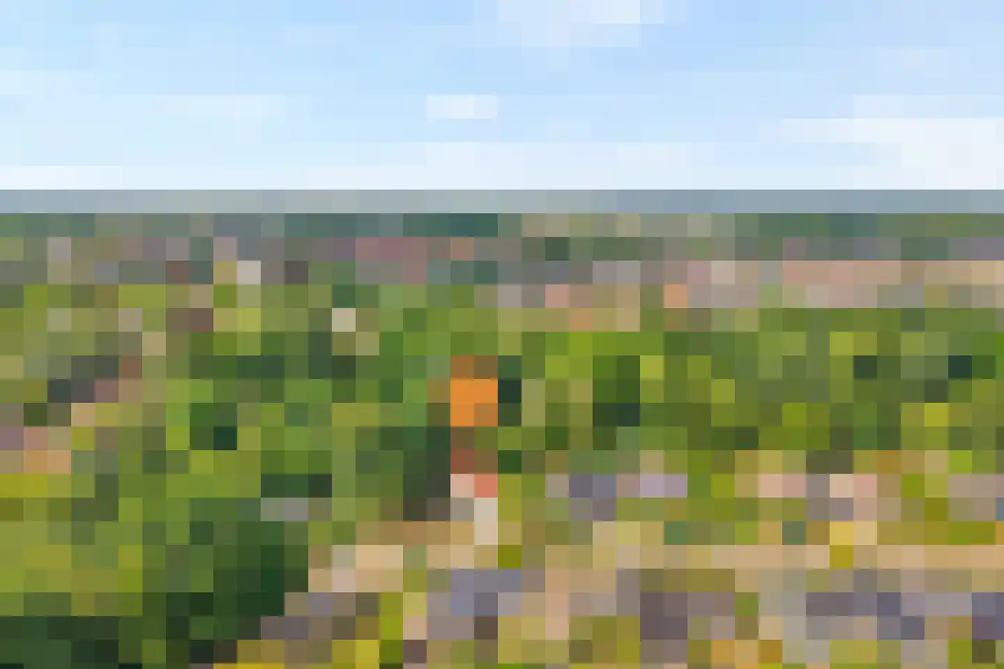 Weddehoenlaan 1 Goor thumbnail 89