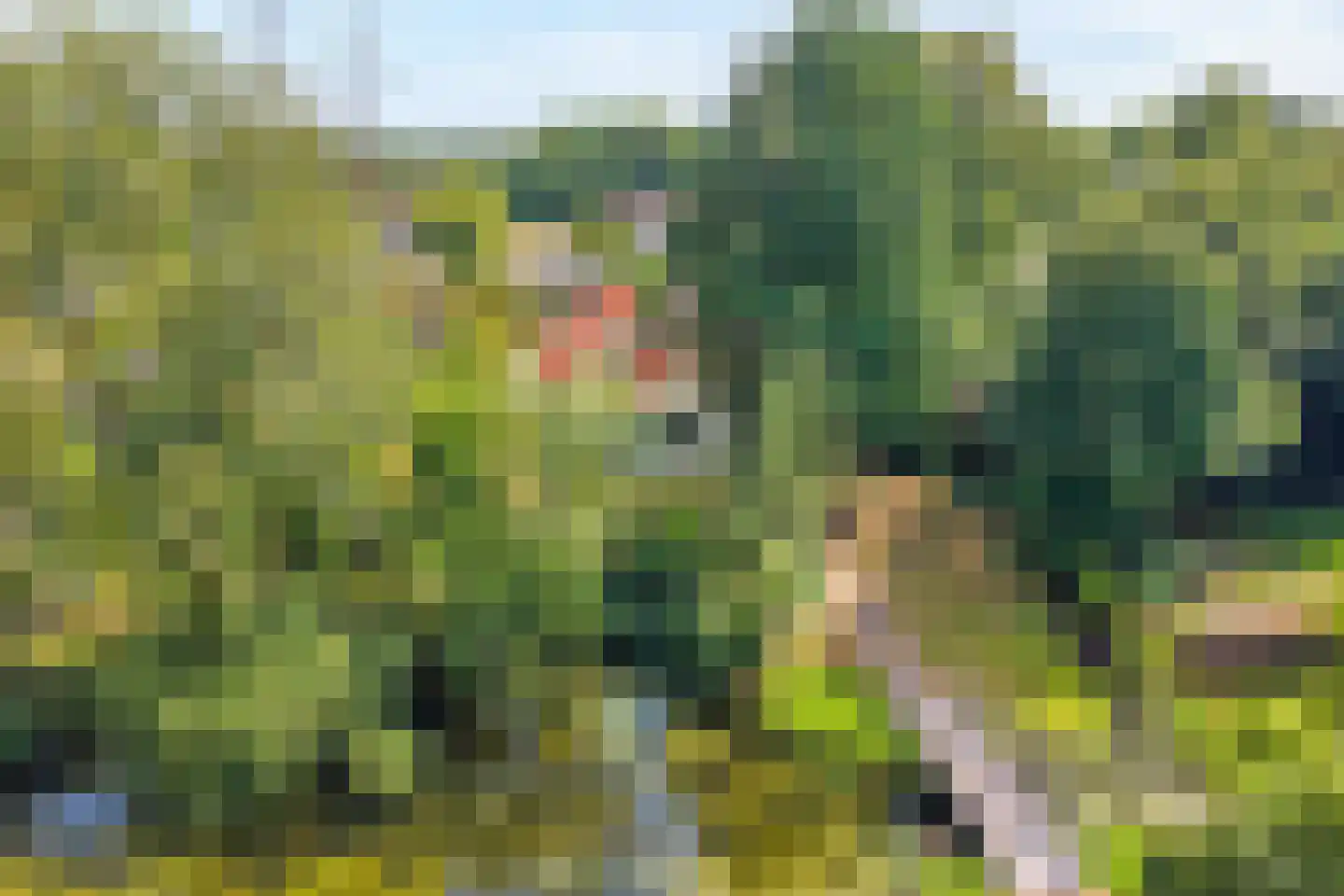 Weddehoenlaan 1 Goor thumbnail 9