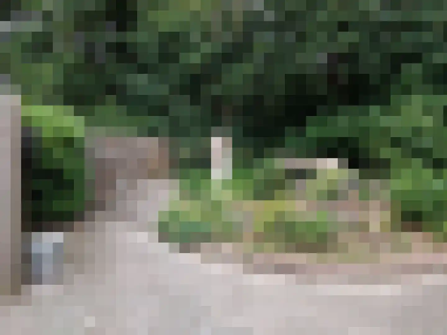 Wedderbergenweg 17 Wedde thumbnail 22