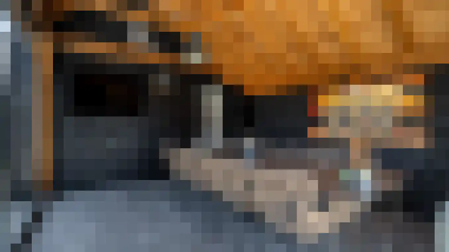 Wedderborg 13 Almelo thumbnail 33