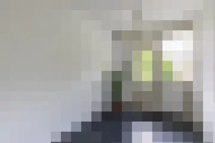 Wedderborg 22 Amsterdam thumbnail 13
