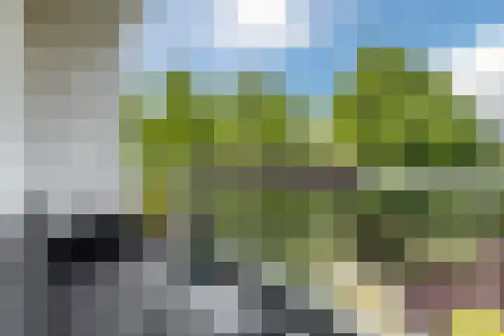Wedderborg 22 Amsterdam thumbnail 20