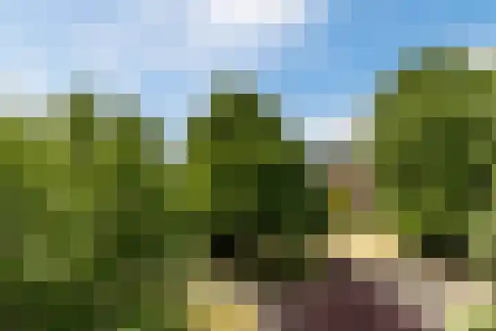 Wedderborg 22 Amsterdam thumbnail 23