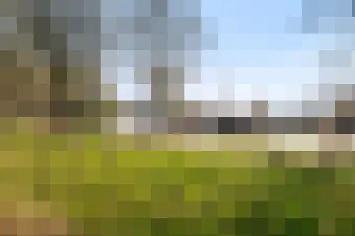 Wedderborg 22 Amsterdam thumbnail 9