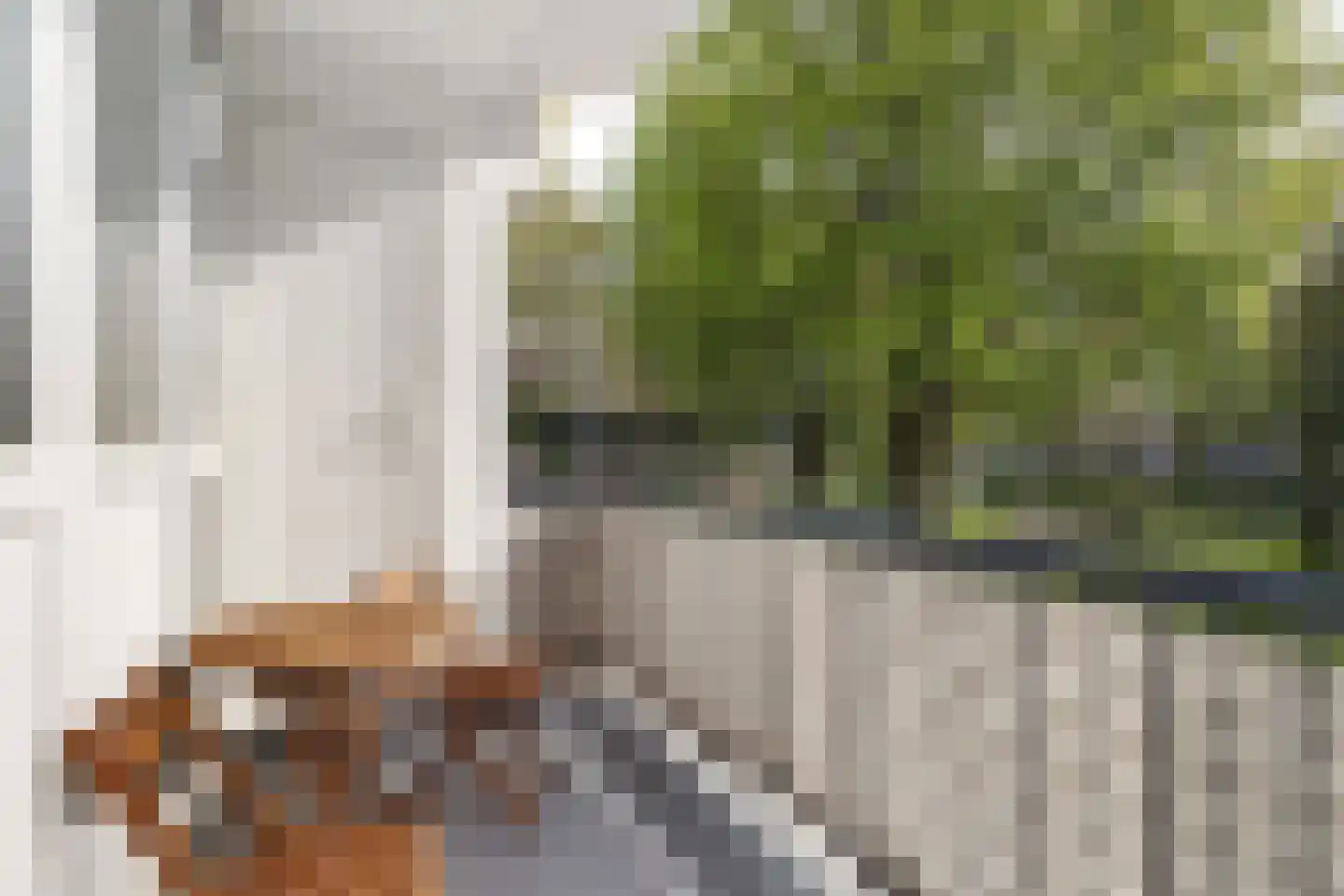 Wedderborg 25 Amsterdam thumbnail 15