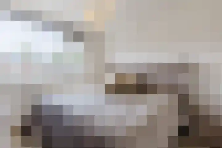 Wedderborg 27 Amsterdam thumbnail 10
