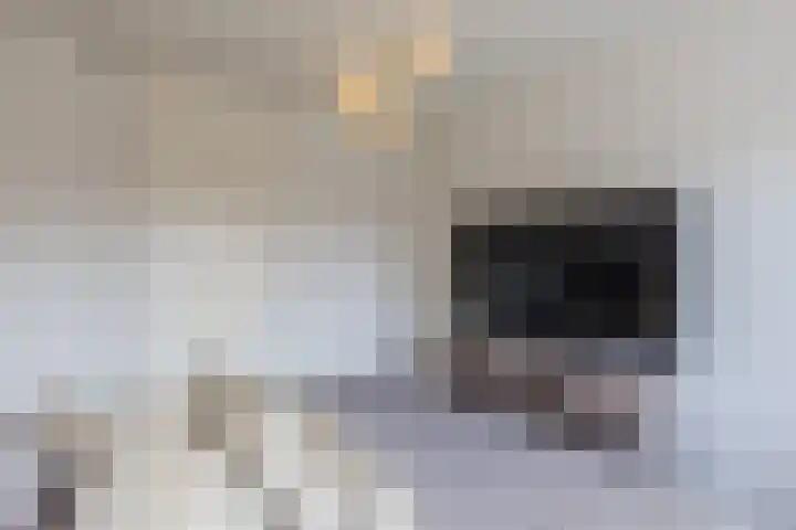 Wedderborg 27 Amsterdam thumbnail 11