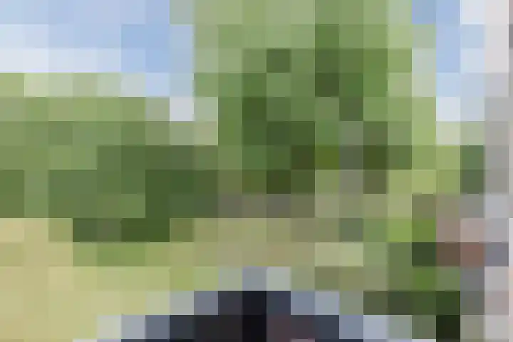 Wedderborg 27 Amsterdam thumbnail 20