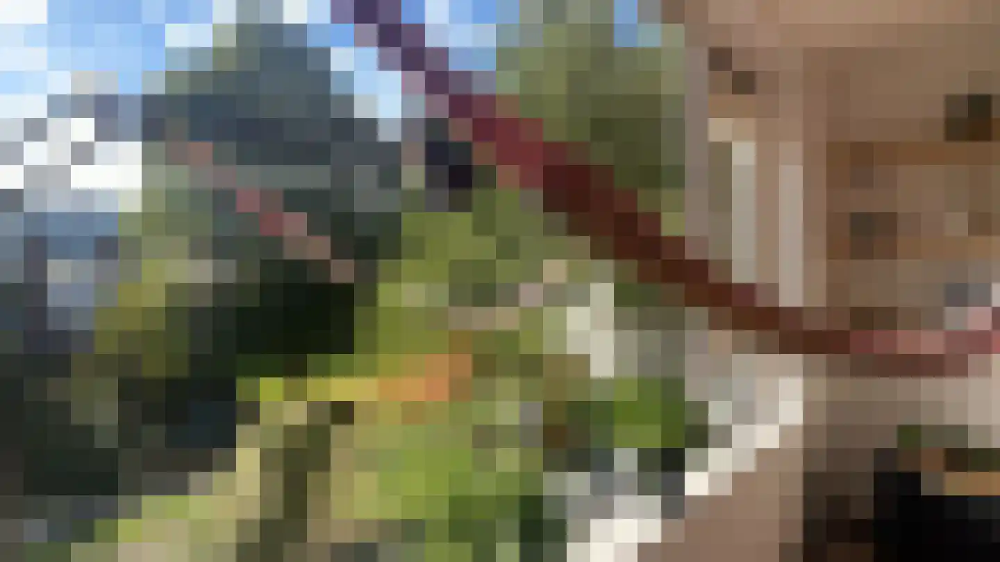 Wedderborg 32 Amsterdam thumbnail 14