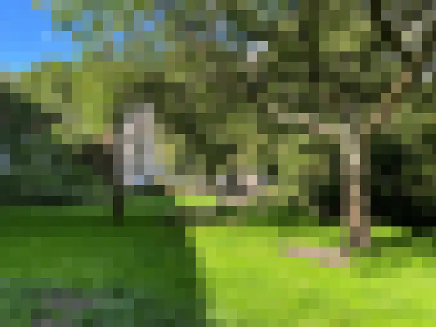 Wedderborg 32 Amsterdam thumbnail 37