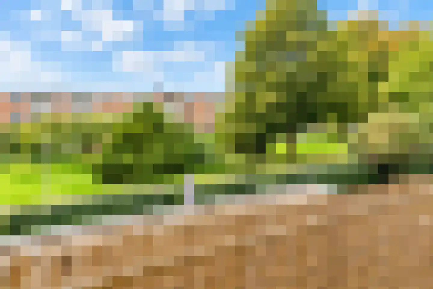 Wedderborg 38 Amsterdam thumbnail 17