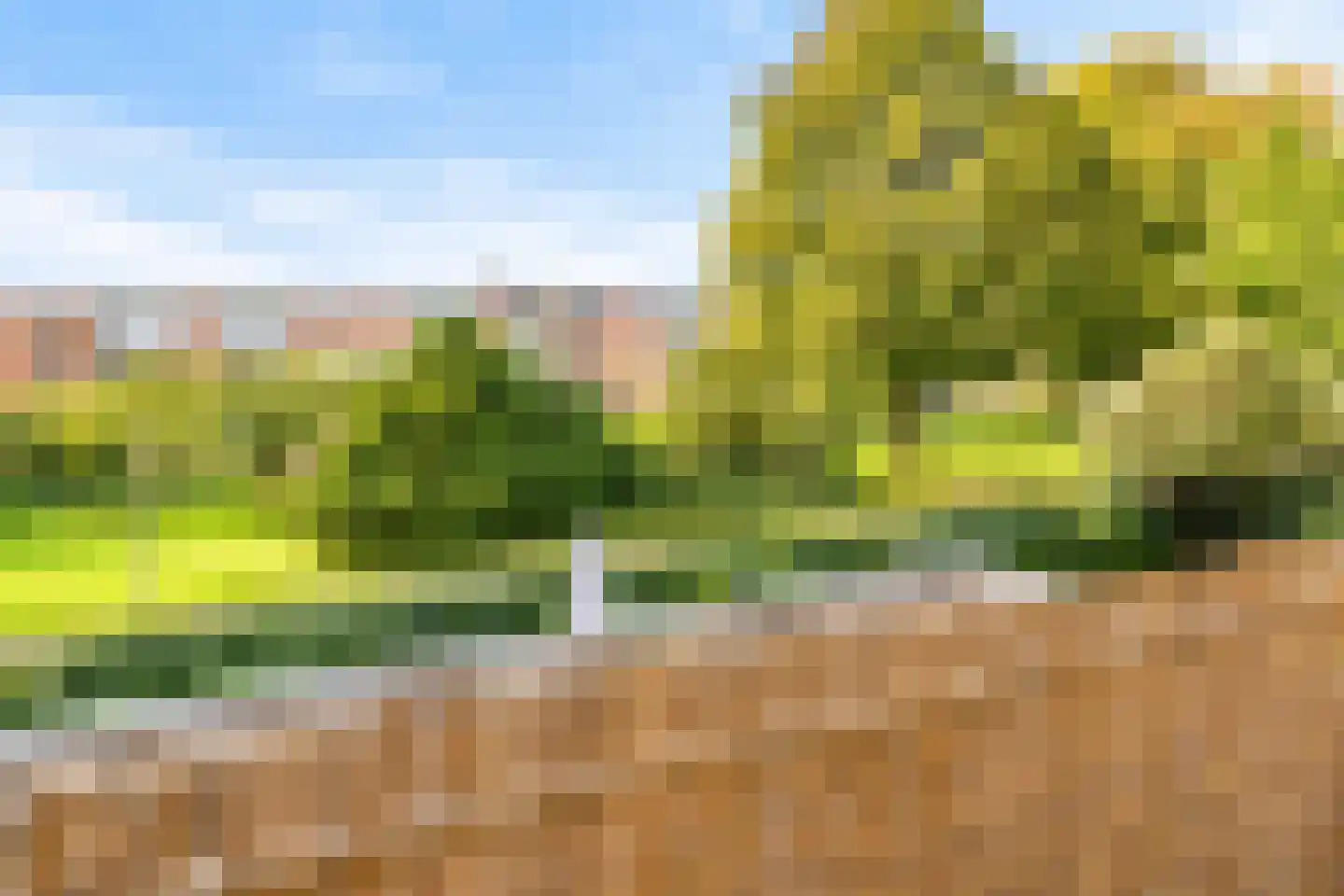 Wedderborg 38 Amsterdam thumbnail 22