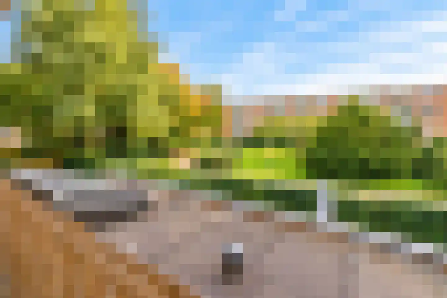 Wedderborg 38 Amsterdam thumbnail 23