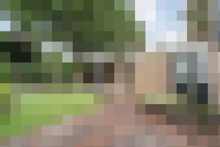 Wedderborg 48 Almelo thumbnail 22