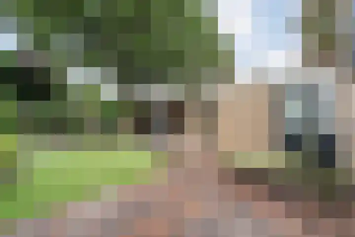Wedderborg 48 Almelo thumbnail 4