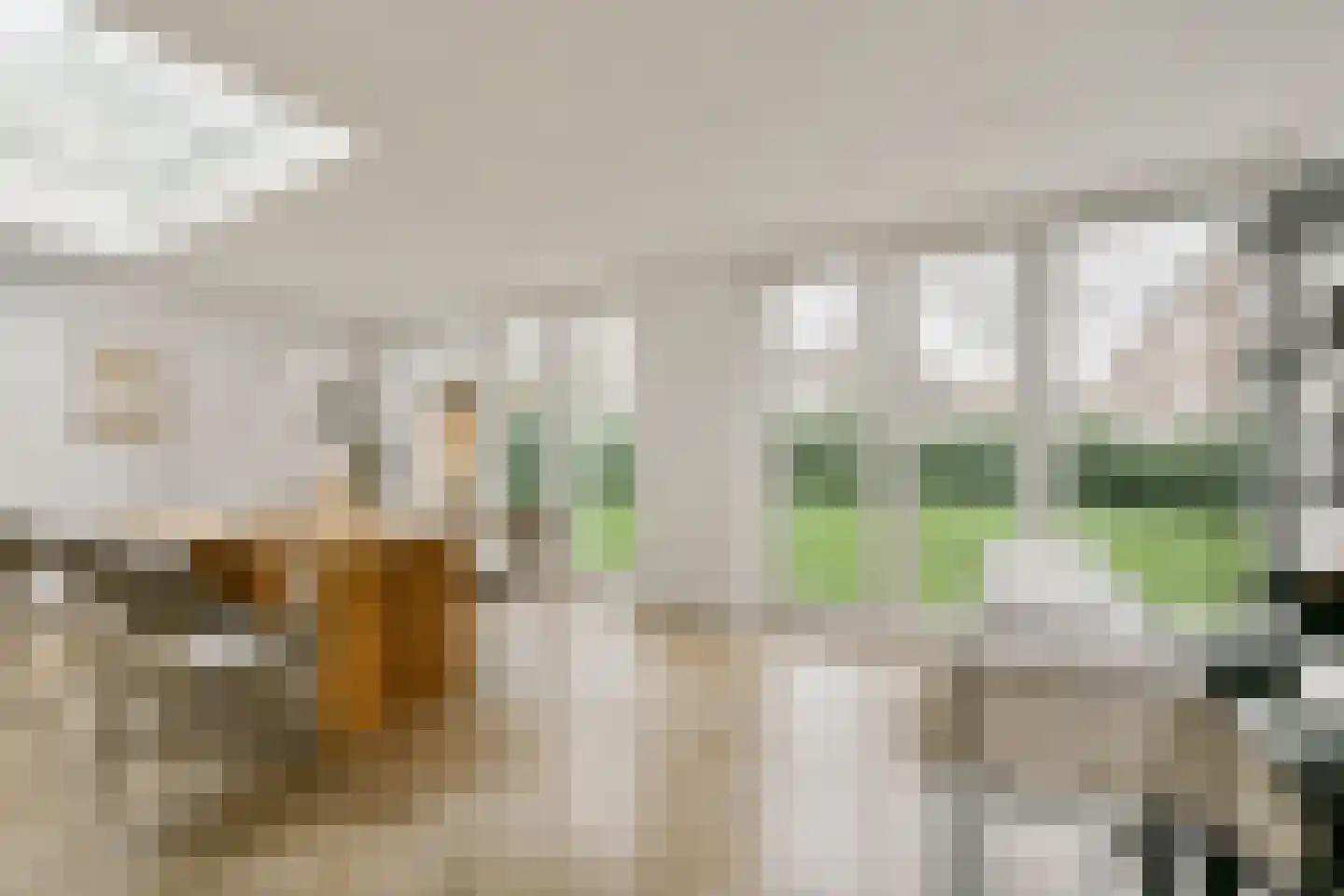 Wedderborg 81 Amsterdam thumbnail 4