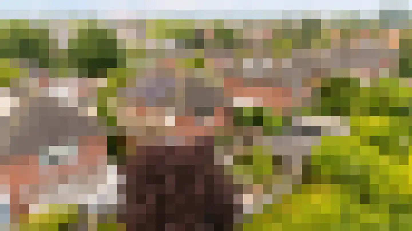 Wedderborg 9 Lelystad thumbnail 39