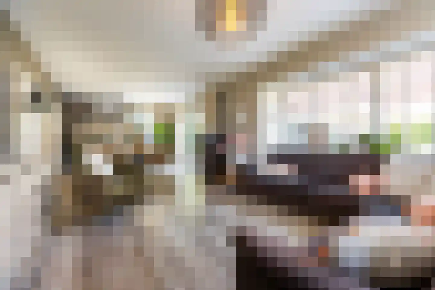 Wedderhöfte 21 Wedde thumbnail 10