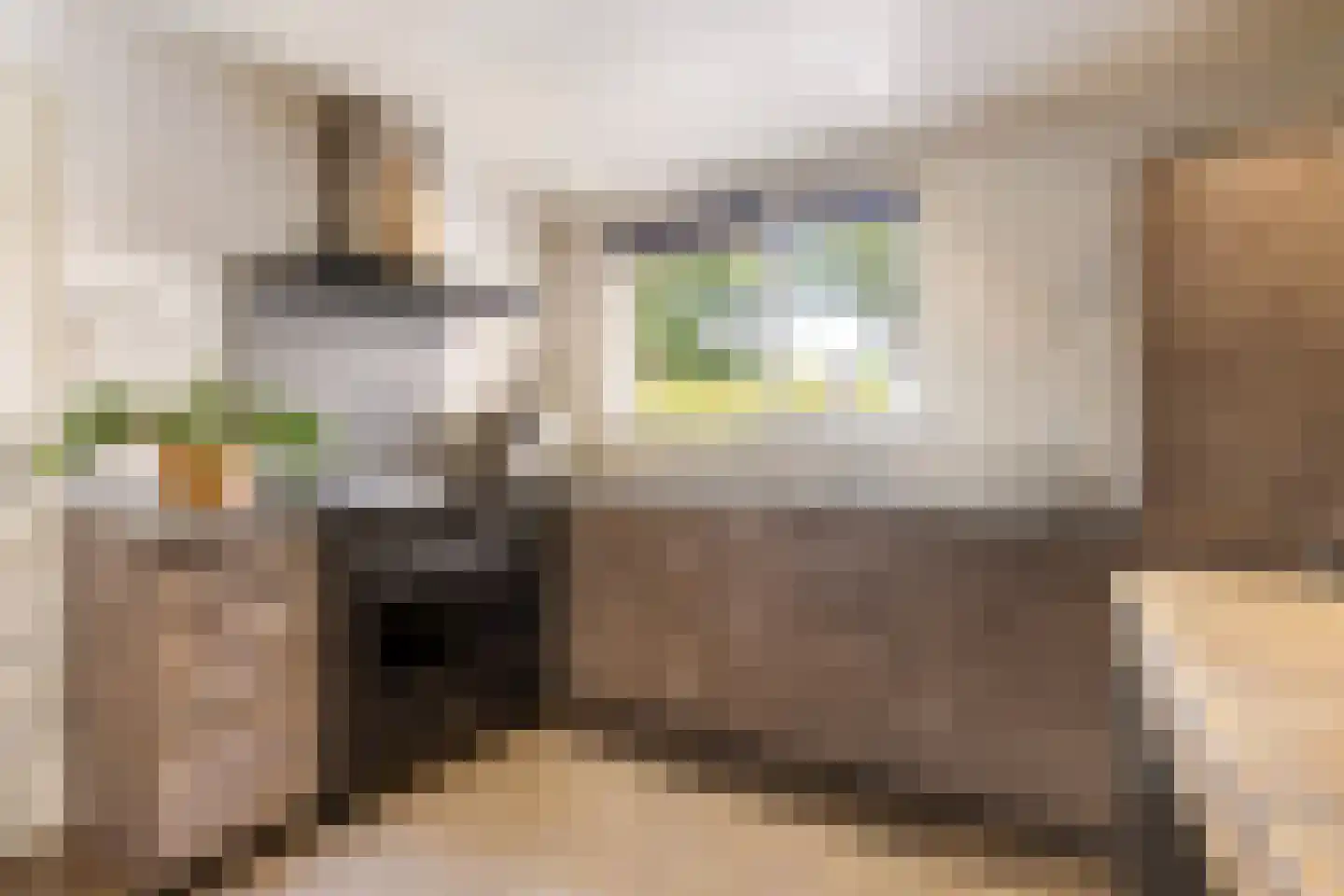Wedderhöfte 21 Wedde thumbnail 19