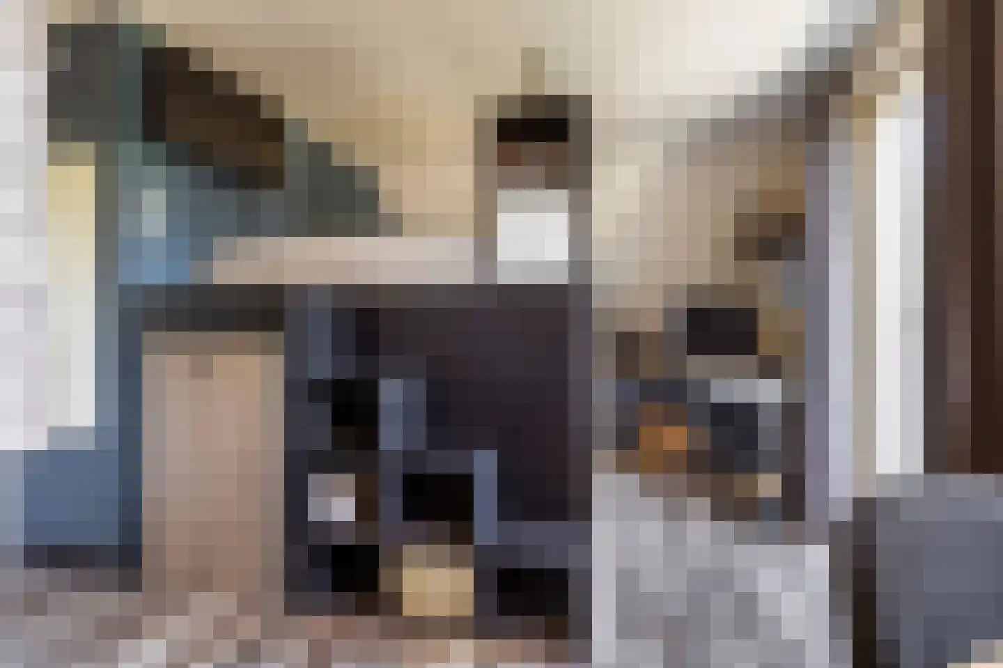 Wedderhöfte 21 Wedde thumbnail 30