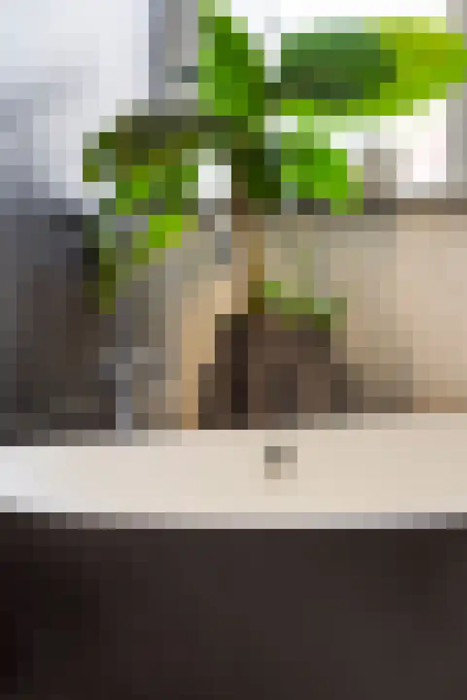 Wedderhöfte 21 Wedde thumbnail 34