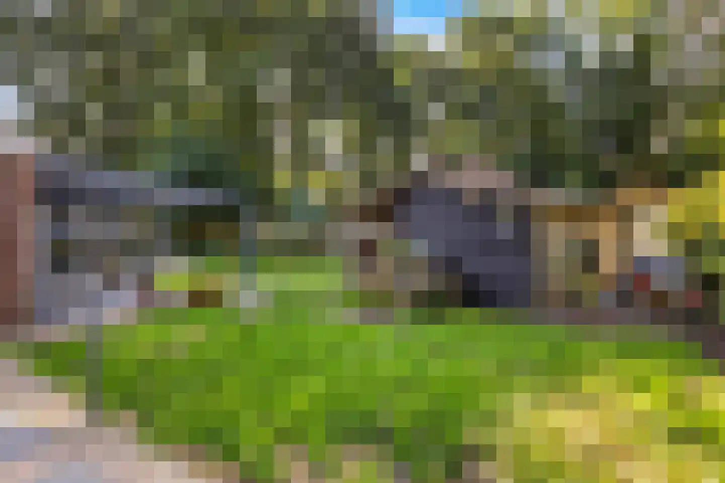 Wedderhöfte 21 Wedde thumbnail 39