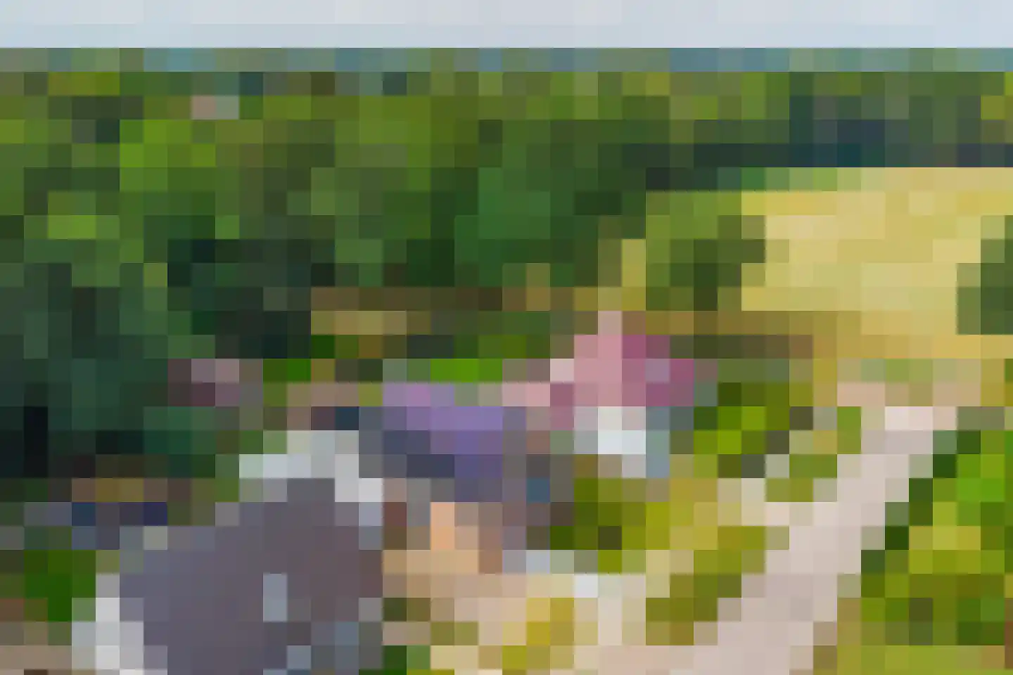 Wedderhöfte 21 Wedde thumbnail 4