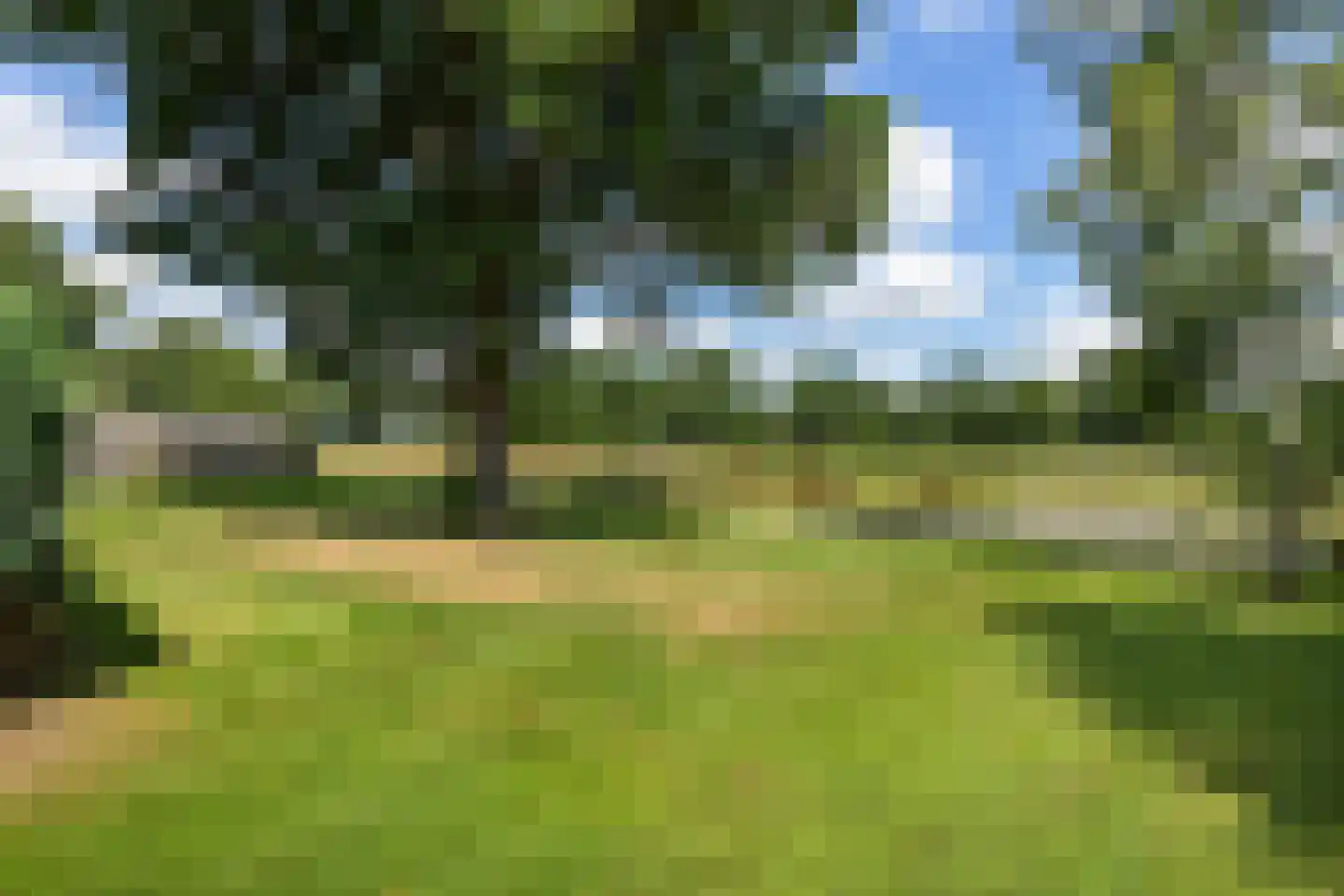 Wedderhöfte 26 Wedde thumbnail 40