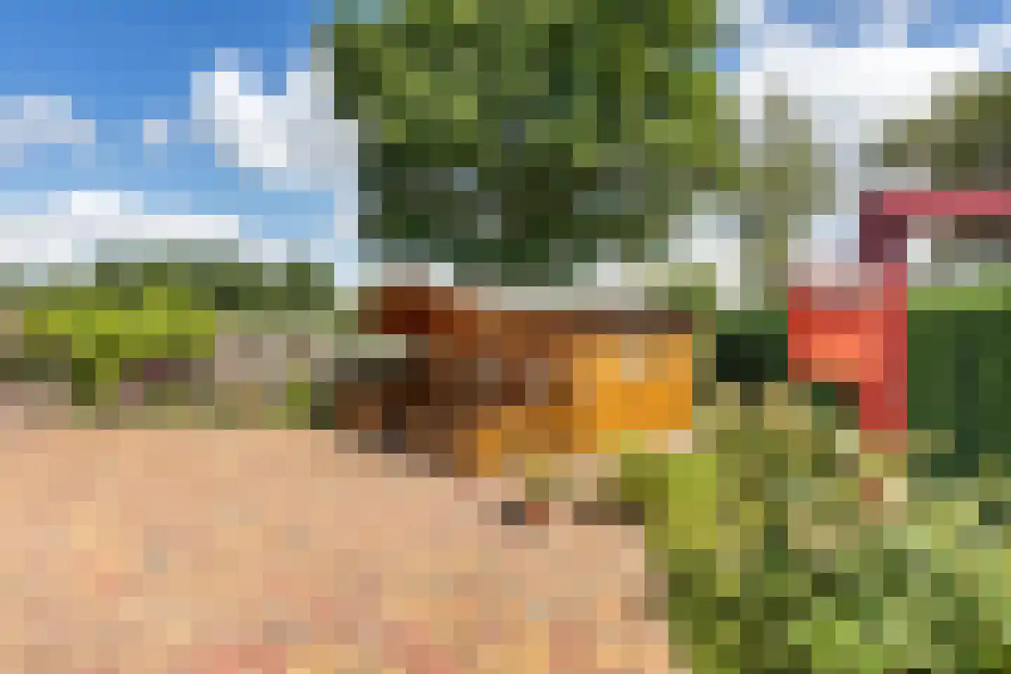 Wedderhöfte 26 Wedde thumbnail 45