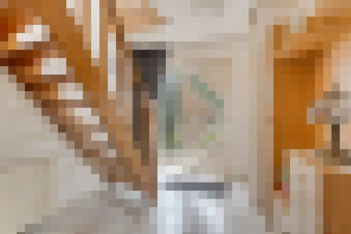 Wedderhöfte 26 Wedde thumbnail 6