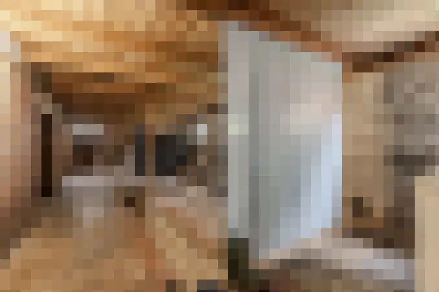 Wedderstraat 84 Vlagtwedde thumbnail 32