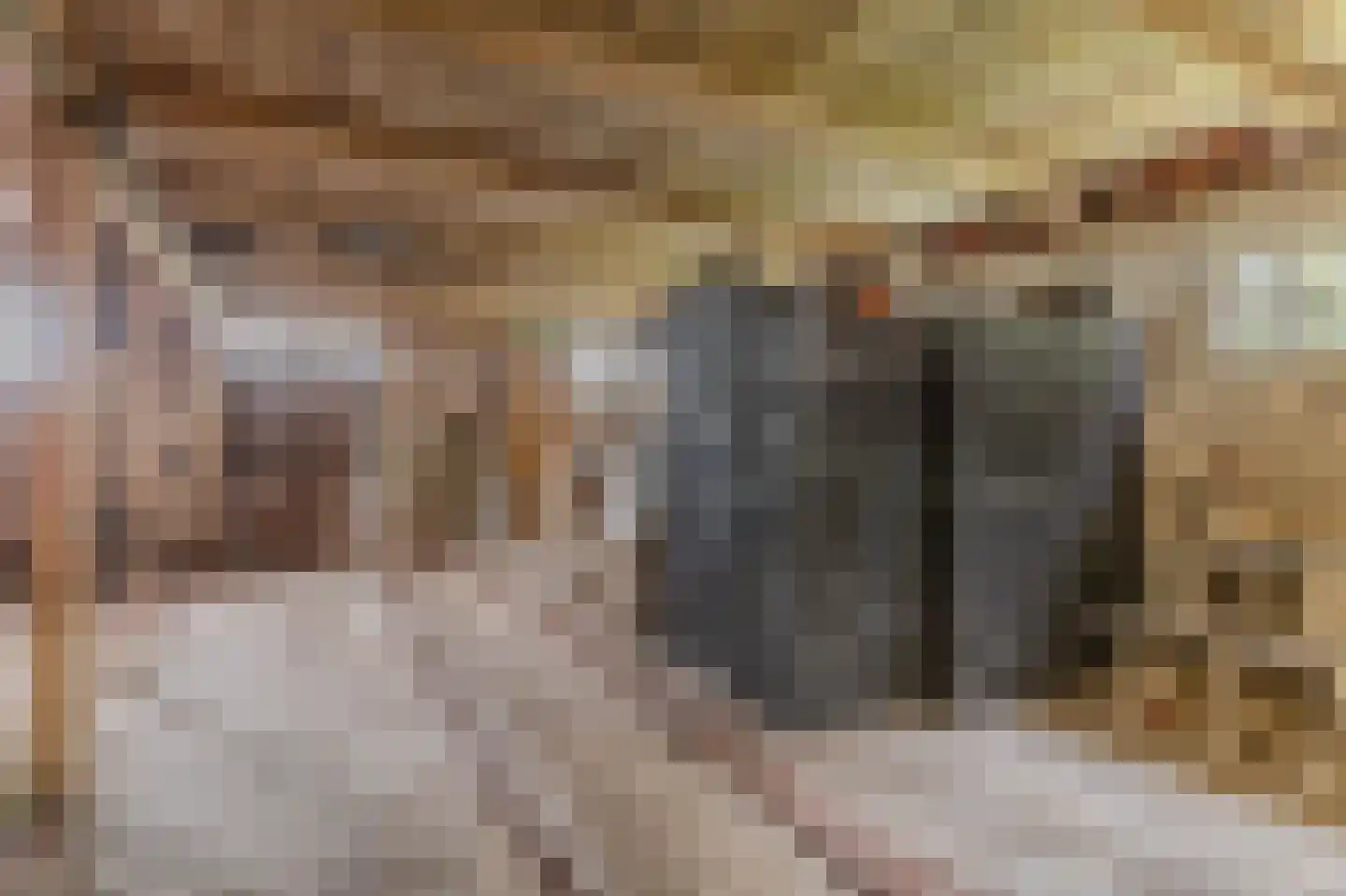 Wedderstraat 84 Vlagtwedde thumbnail 33