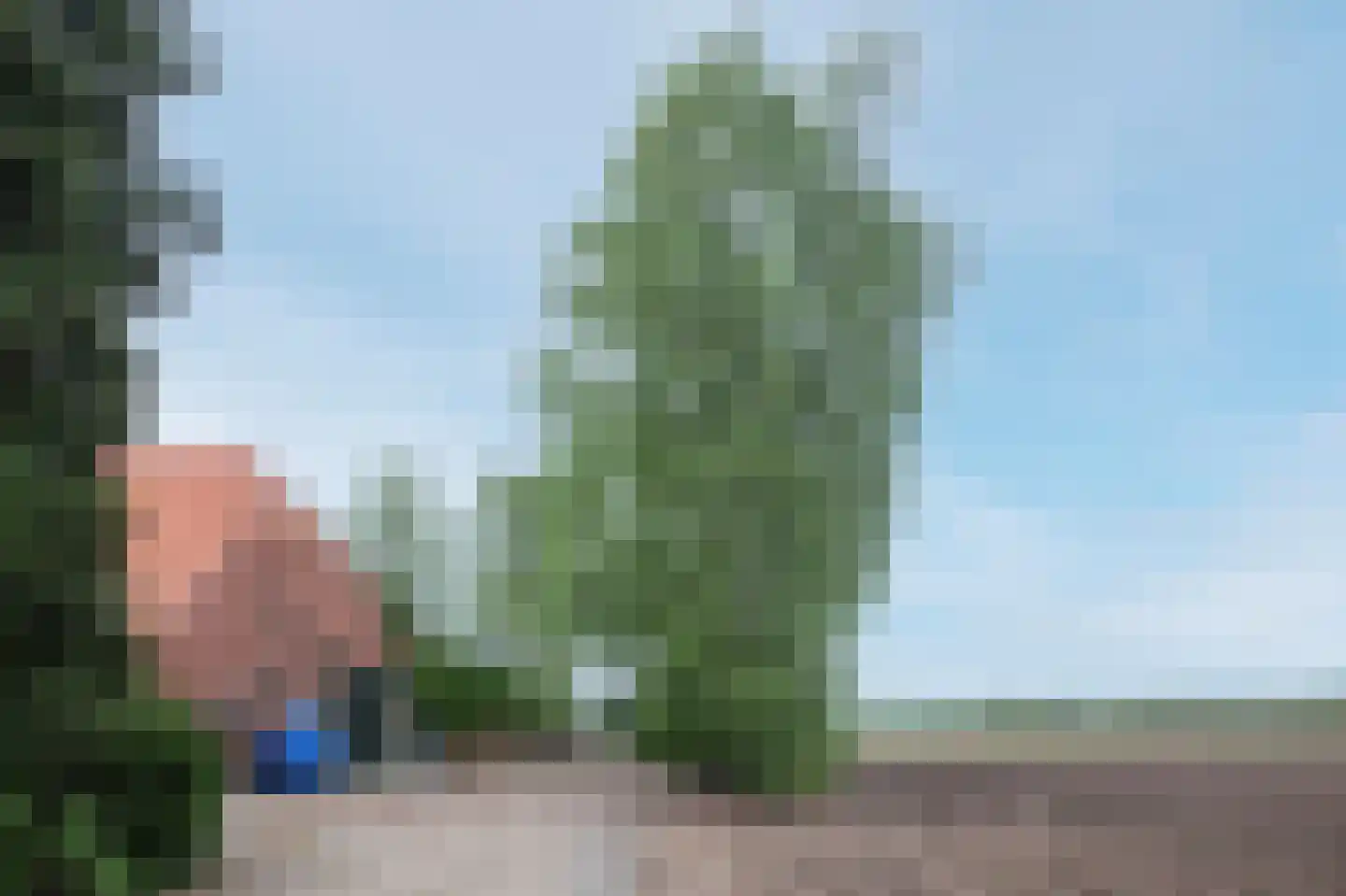Wedderstraat 84 Vlagtwedde thumbnail 46